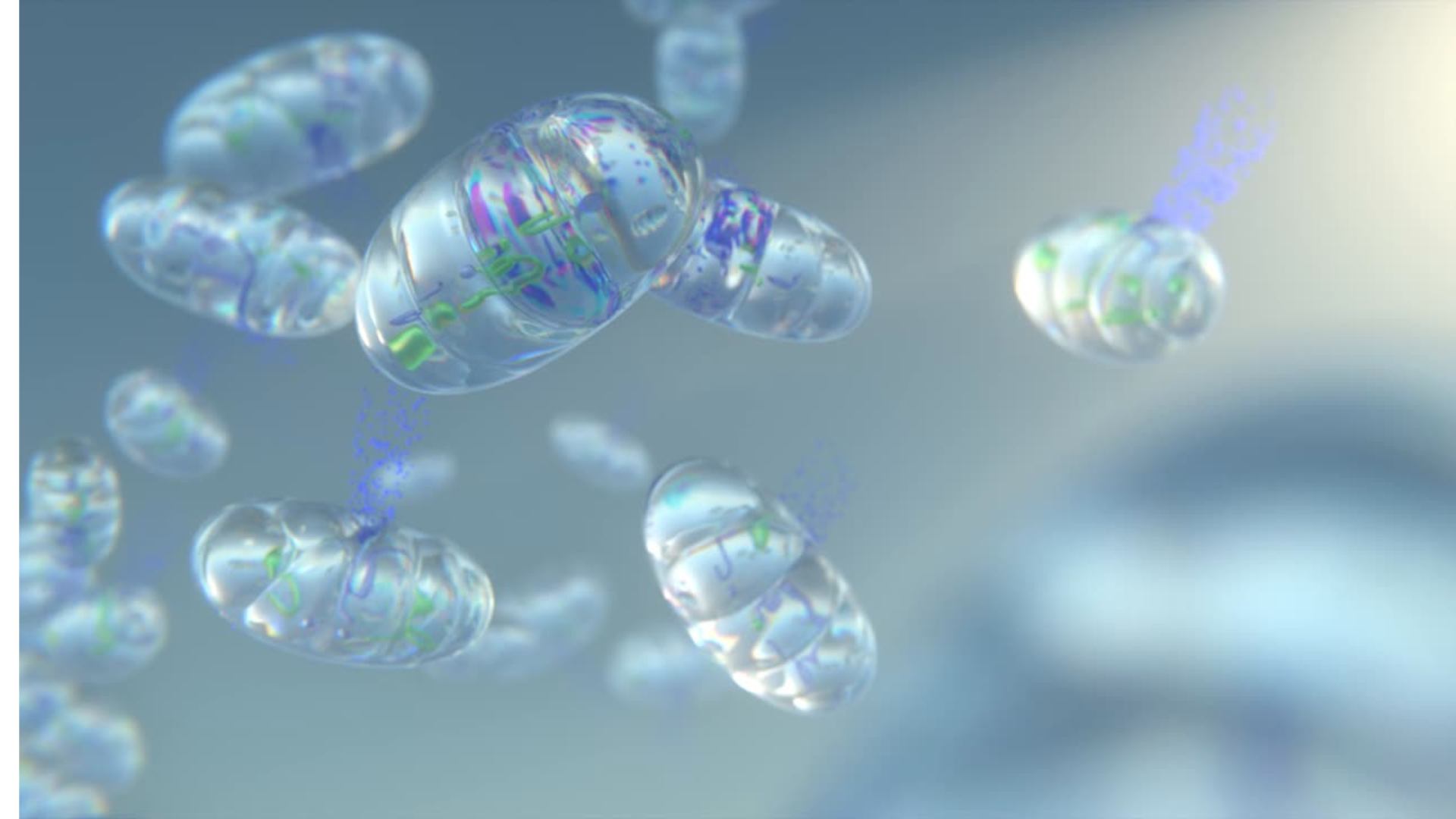 NAD+ zdravie mitochondrií a buniek - NAD+ nie je longevity zázrak